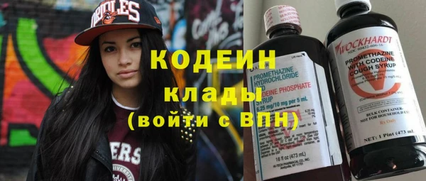 эйфоретик Алзамай