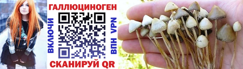 Псилоцибиновые грибы ЛСД  купить  сайты  Орёл 